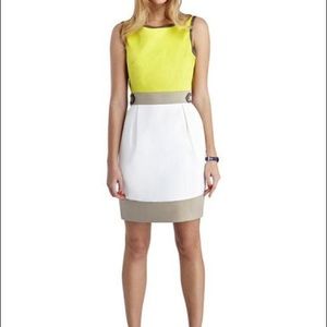 Taharhi Size 4 colorblock dress
